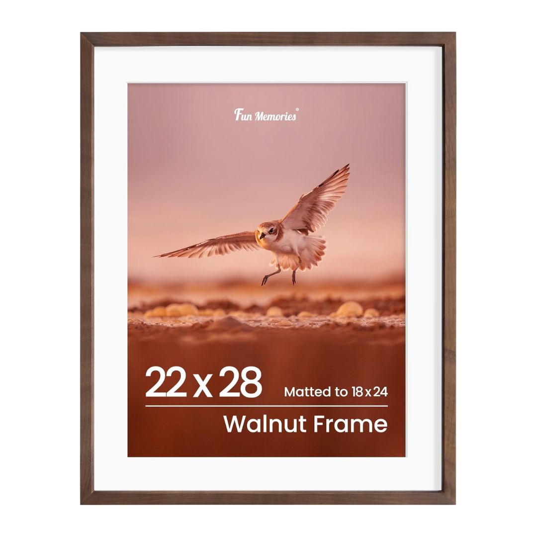 22x28 Walnut Picture Frame - Mik Zenon